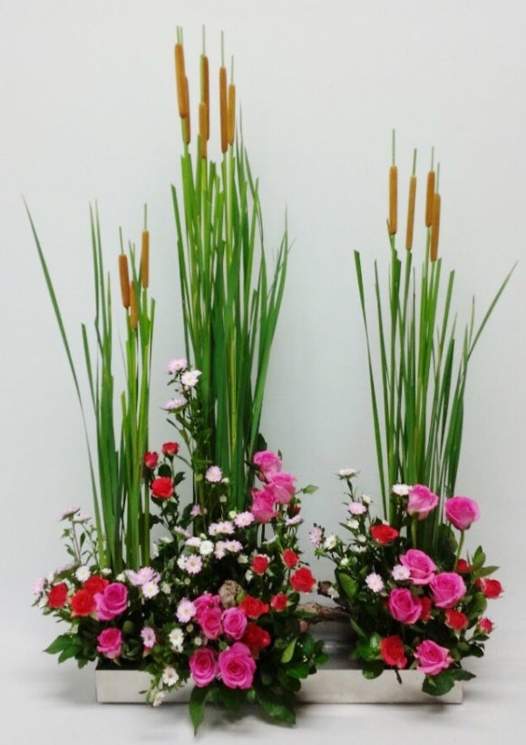 백제약품(주) 이미지
