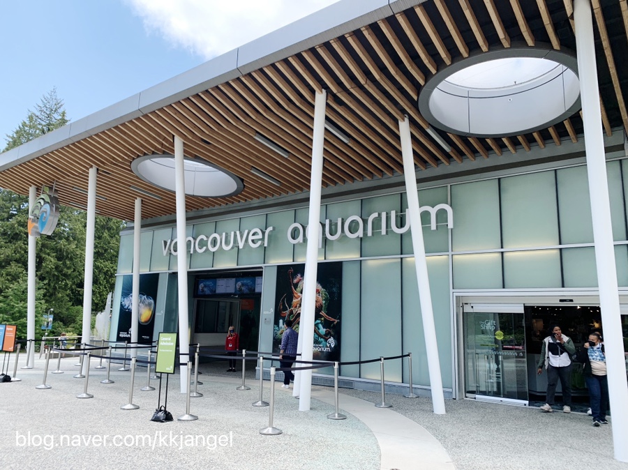 [ Vancouver Aquarium ] 밴쿠버 아쿠아리움, 밴쿠버 다운타운 수족관, 4D 입체 영화관, 캐나다 생활