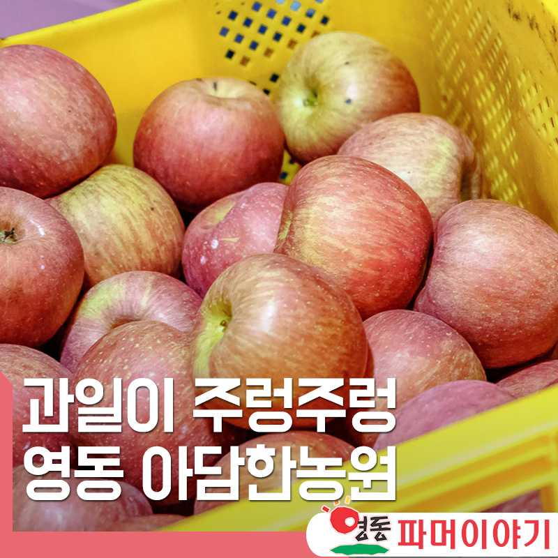 아담농원 이미지