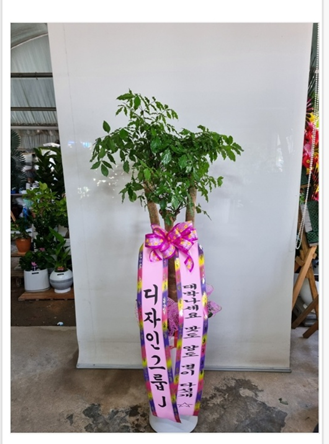 60계치킨 영덕점 이미지
