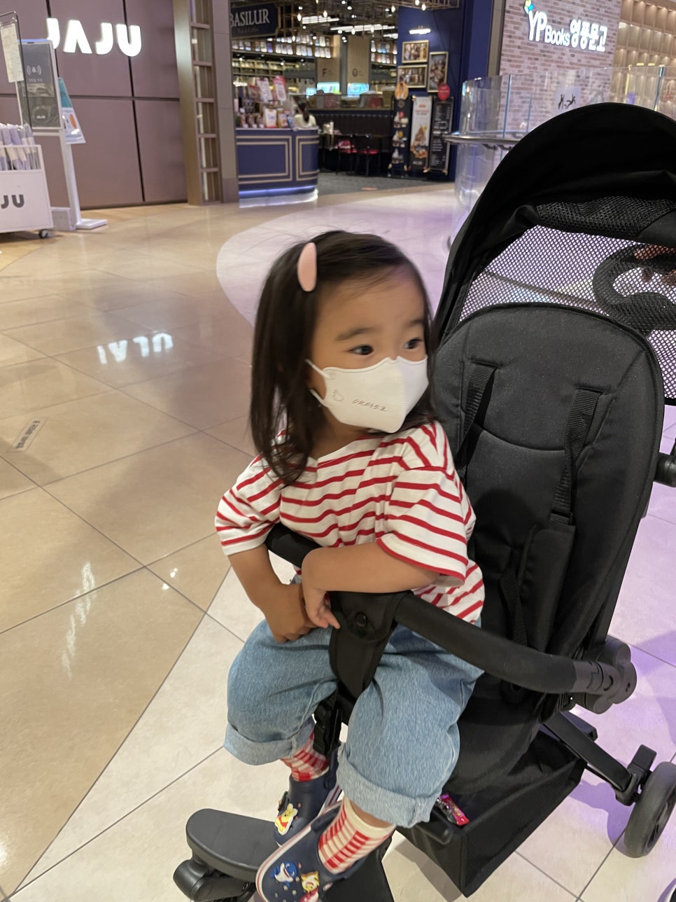 참이누리 이미지