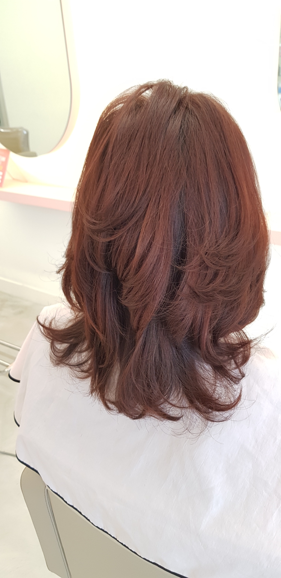 둔전손칼국수 이미지