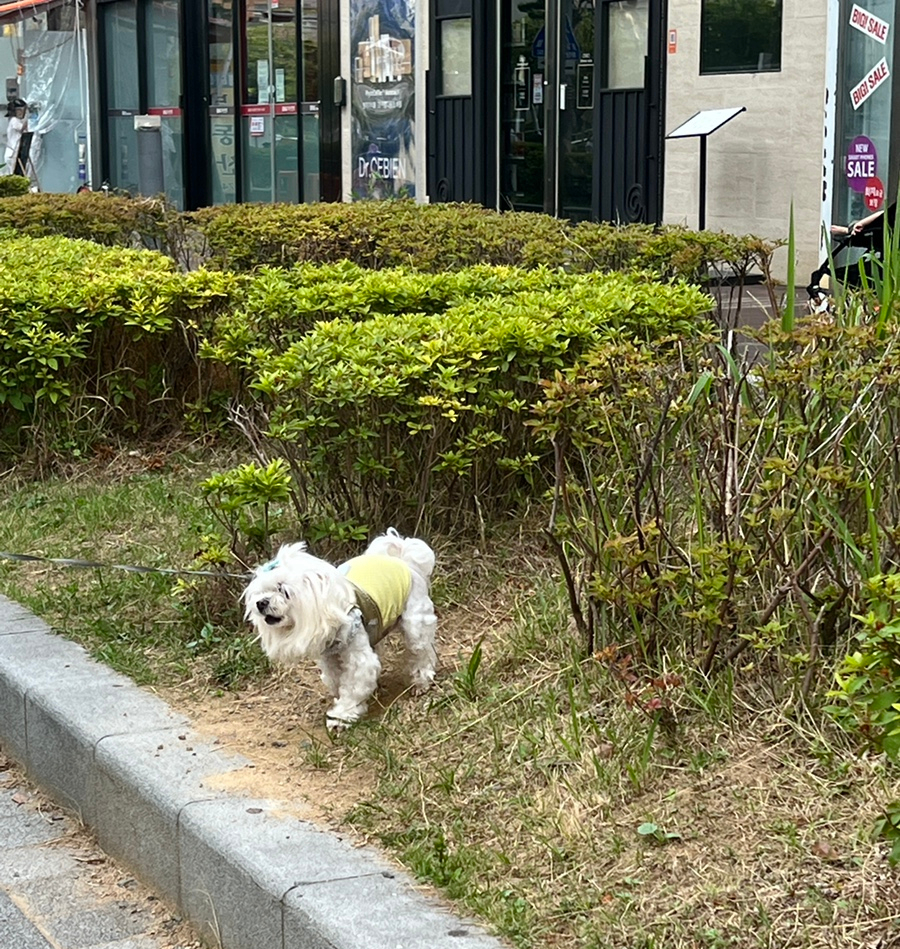 스타벅스 마린시티아이파크 이미지