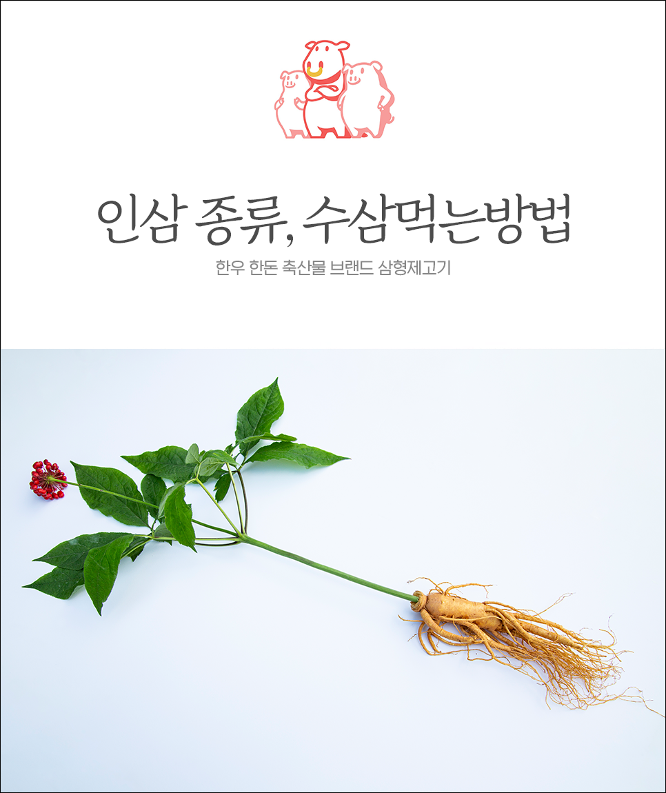 명성수삼 이미지