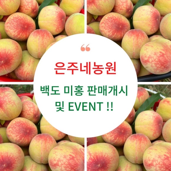 은주미가 이미지