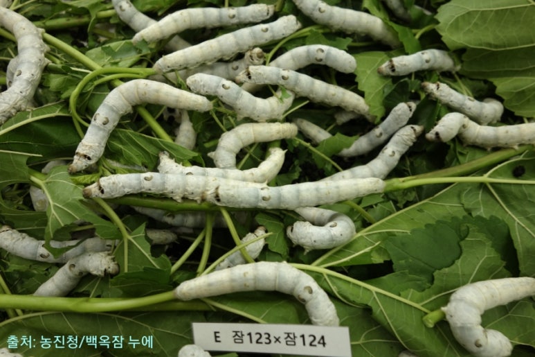 금옥유통 이미지