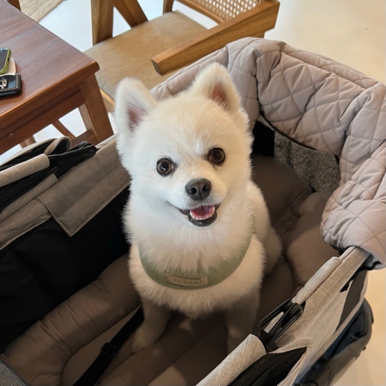카페퉁이 이미지