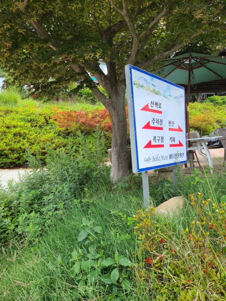 벨라마레 이미지