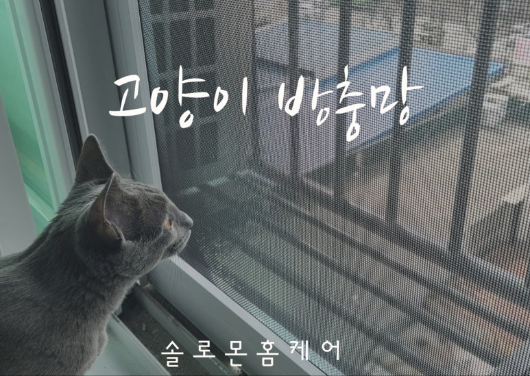 솔로몬미용실 이미지