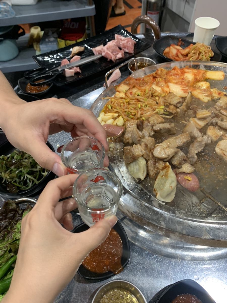 니가사는고기 이미지