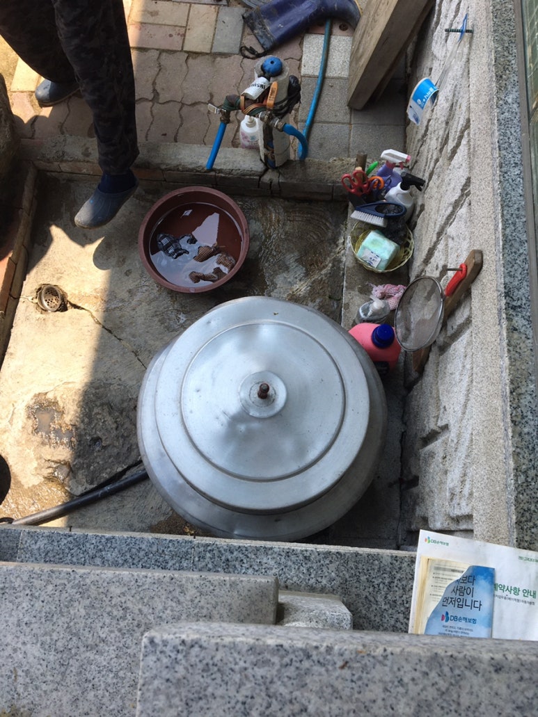꼬꼬삼촌 이미지
