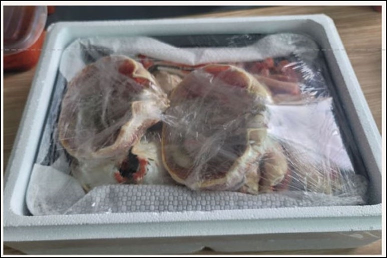 노래하는분수대매점 이미지