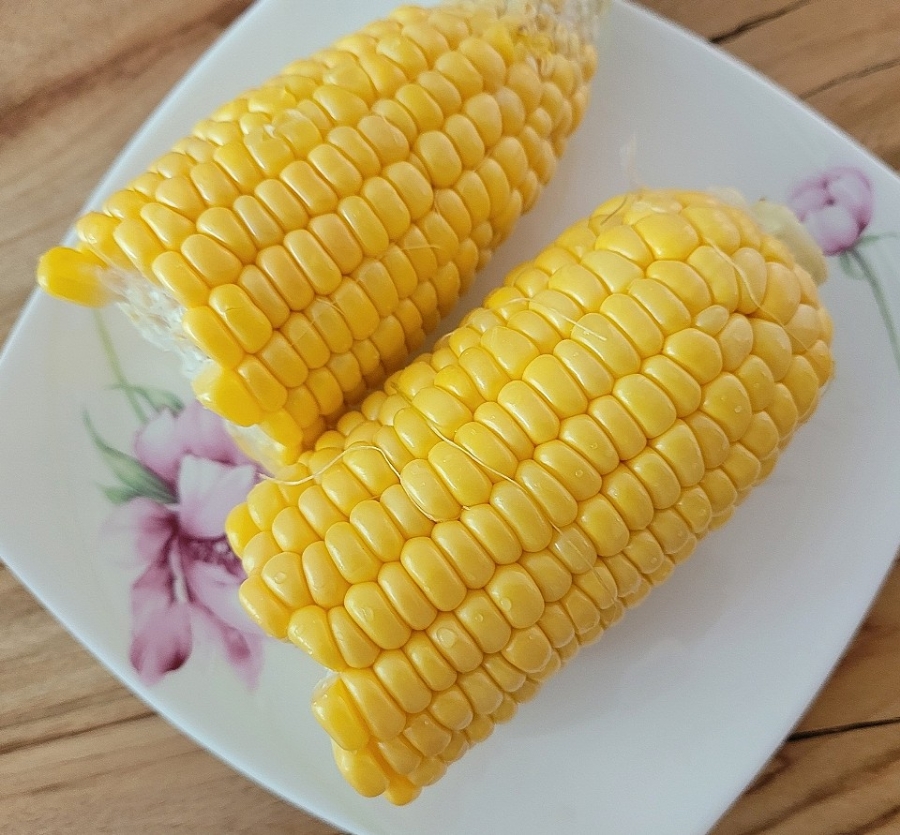 그레고리파주 이미지