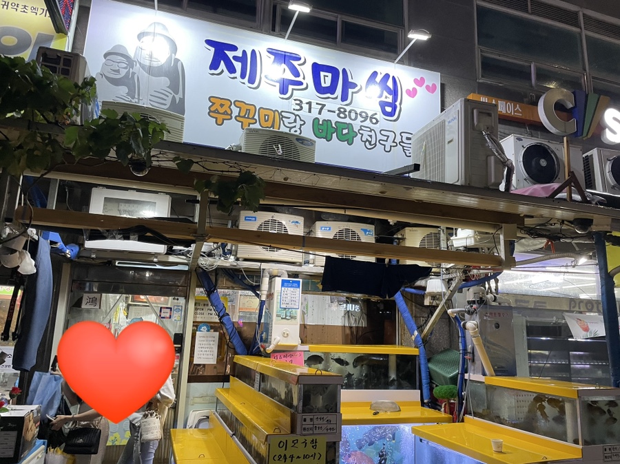 쭈꾸미랑바다친구들 이미지