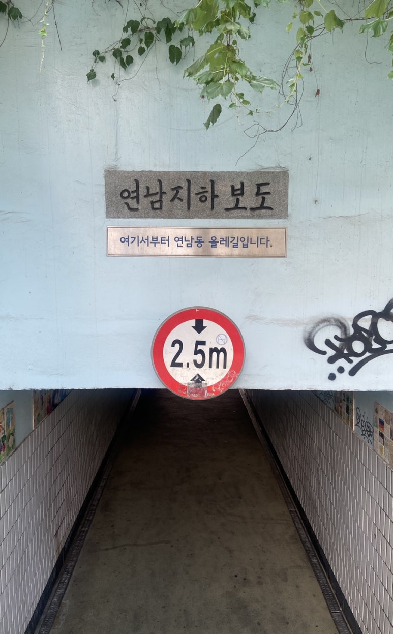 아뜰리에윈터그린 이미지