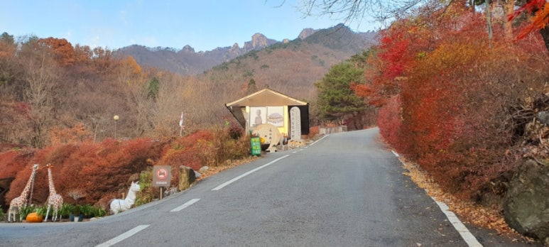 대둔산힐링센터 이미지