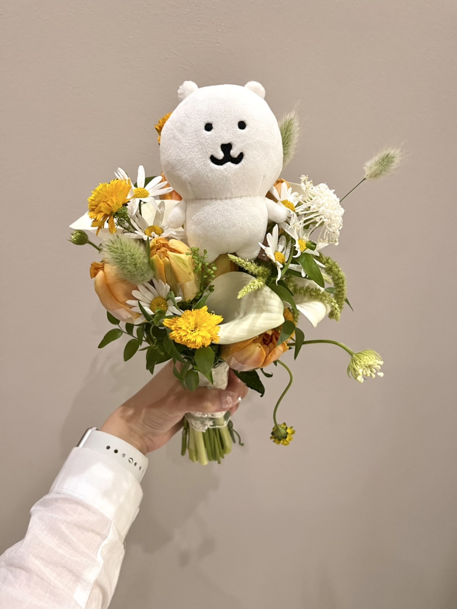 또와조아 이미지