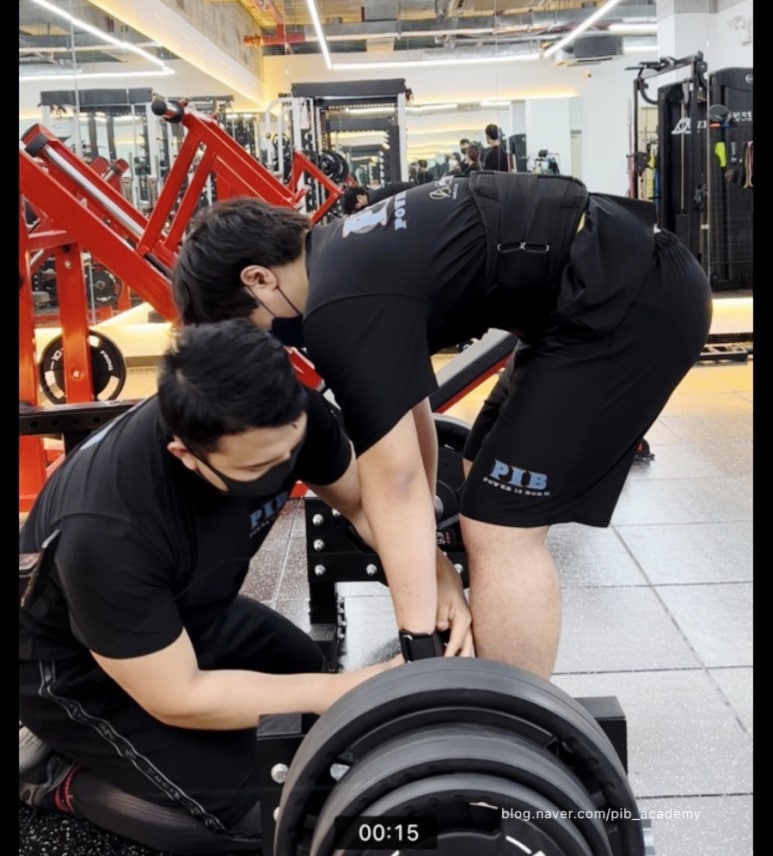 아이비피티 이미지