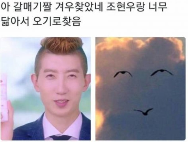 (주)로지스틱스 이미지