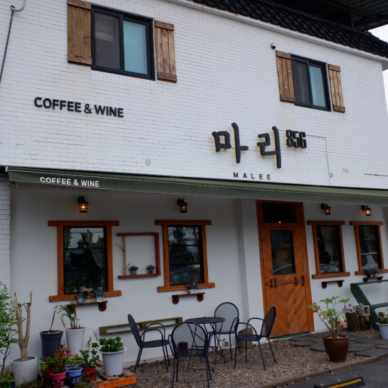 마리856 이미지