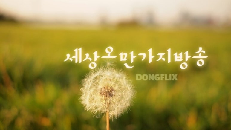 힐링의섬집 이미지