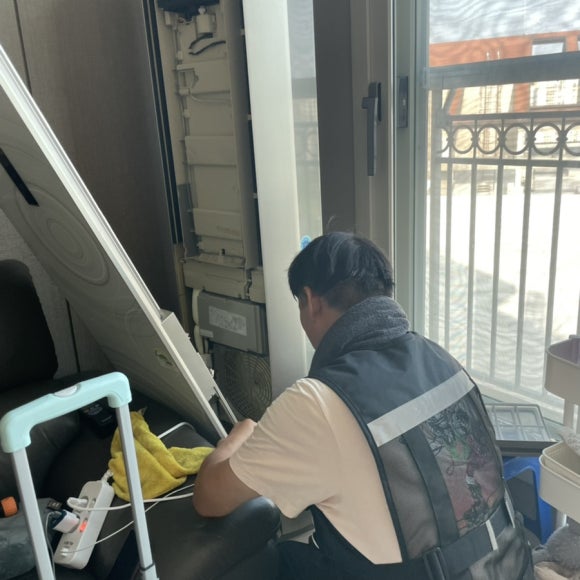 새집클로버 이미지
