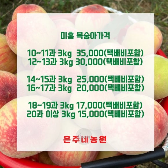 은주미가 이미지