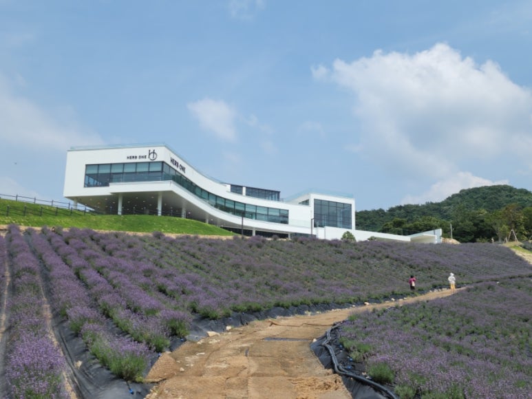 기린건축사사무소 이미지