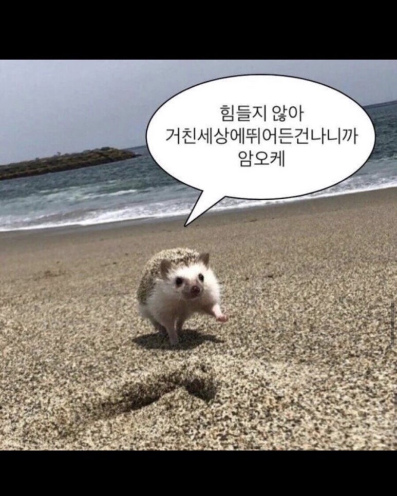화이트펜슬인천부평 이미지