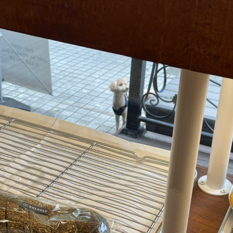 브레들리 야탑점 이미지