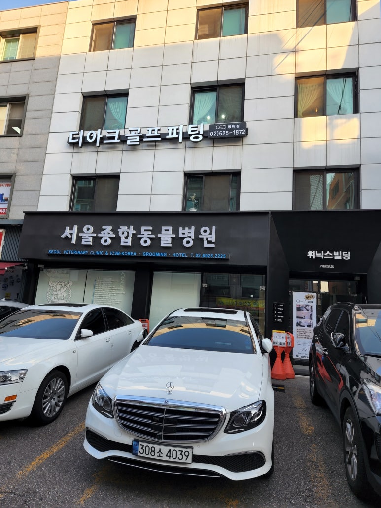 디아크골프랩 이미지