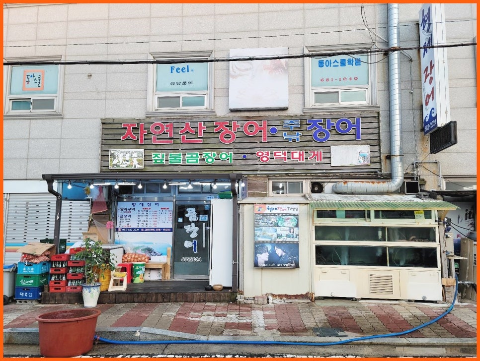 지세포장어 이미지