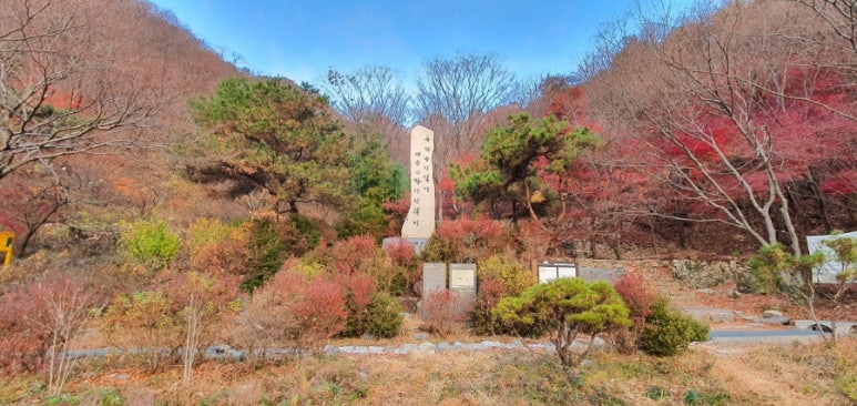 대둔산힐링센터 이미지