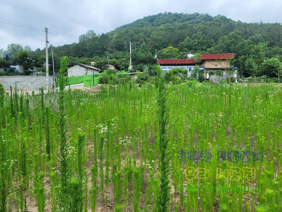 한재공방 이미지