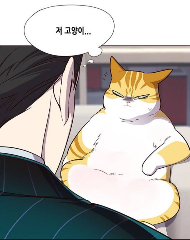 헤어라떼 이미지