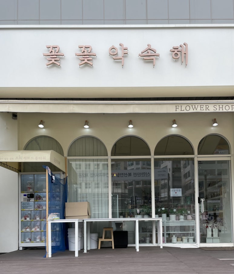 꽃꽃약속해 이미지