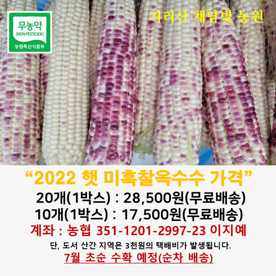 부부옥수수 이미지