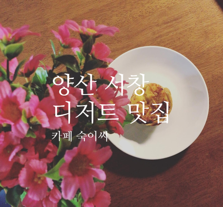 숙이씨 이미지
