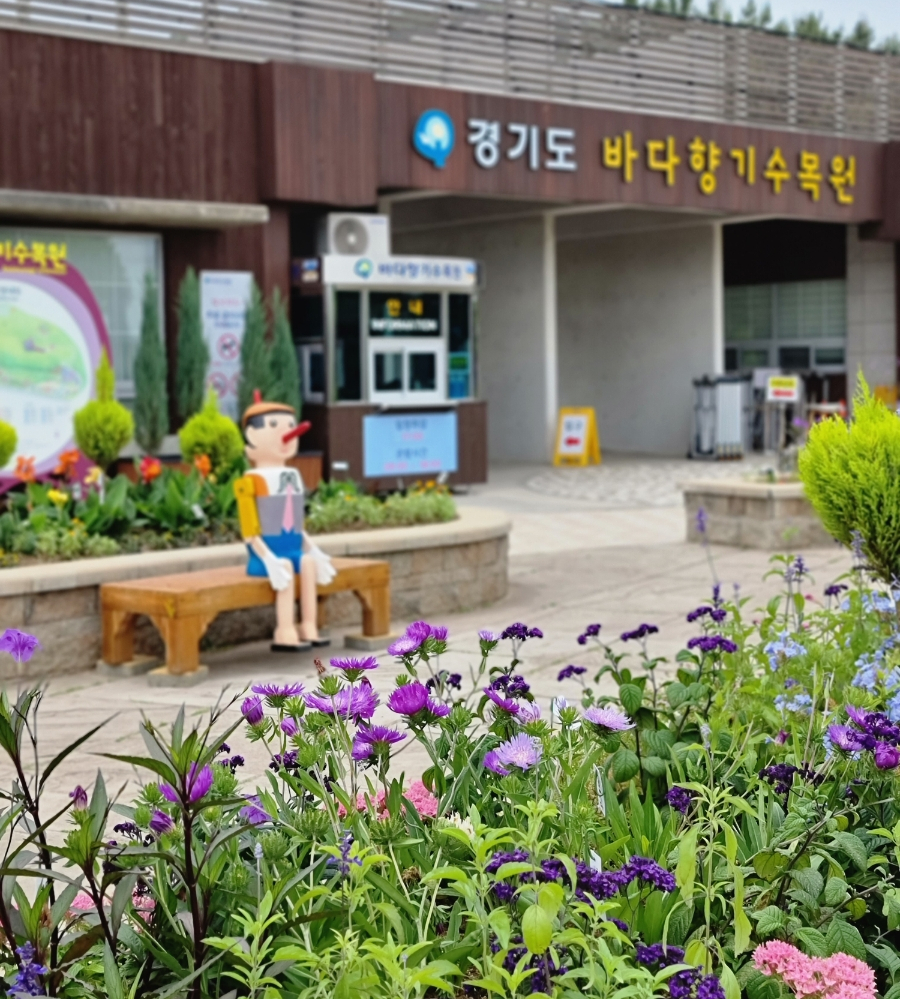 동심다방 이미지