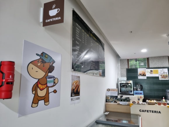 디엠지레클리스협동조합 이미지