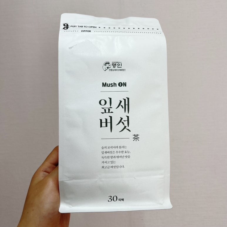 봄내다살이 이미지