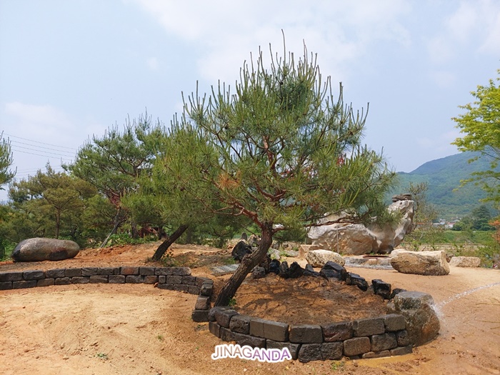 용담리70번지 이미지