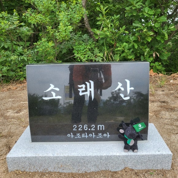 크린조아 이미지