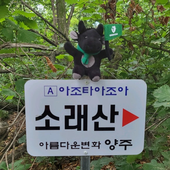크린조아 이미지