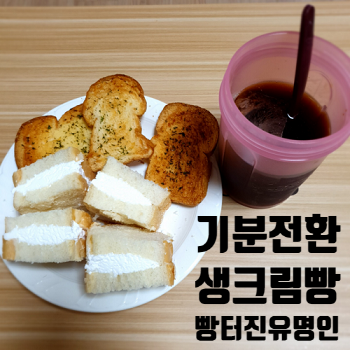 빵터진 유명인 이미지