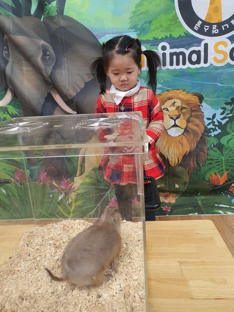 세계제일어린이집 이미지