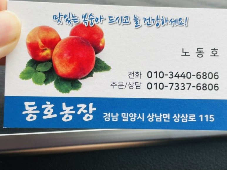 동호농장달코미복숭아 이미지