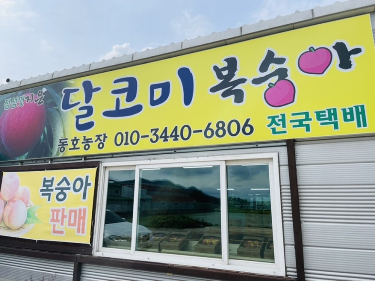 동호농장달코미복숭아 이미지