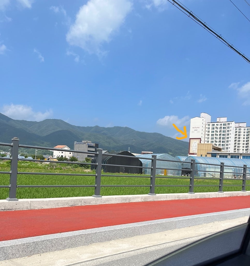 양구장칼국수 이미지