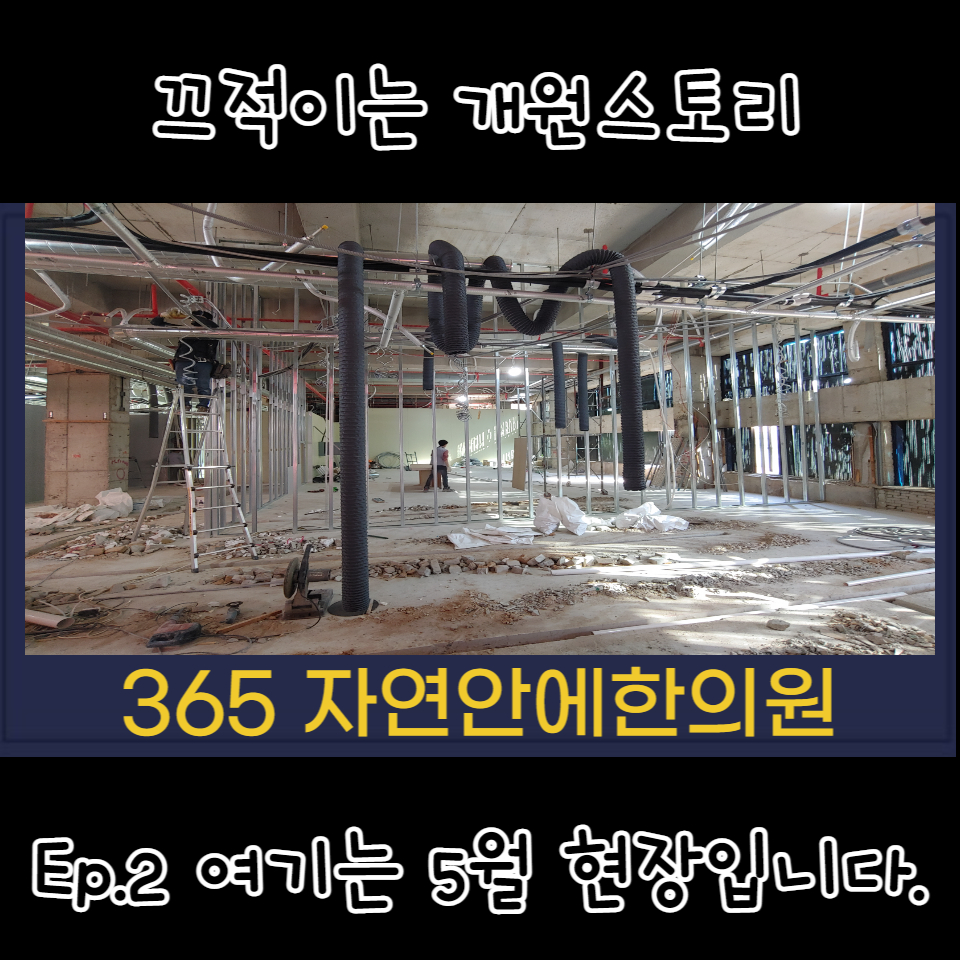 365자연안에한의원 이미지